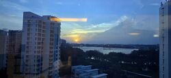 the-clearwater photo thumbnail #3